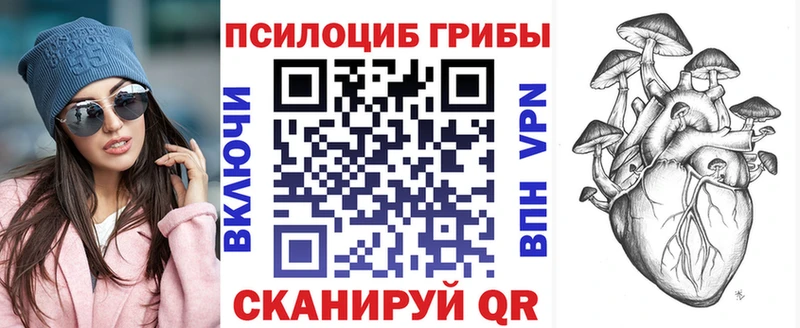 Псилоцибиновые грибы Psilocybe  где купить наркотик  Кировск 